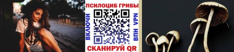KRAKEN вход  Суоярви  Псилоцибиновые грибы ЛСД 